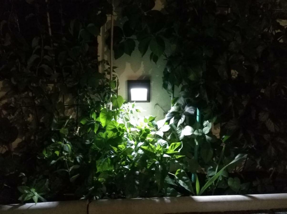 Apartman Pejic,Makarska,Veliko Brdo Luaran gambar